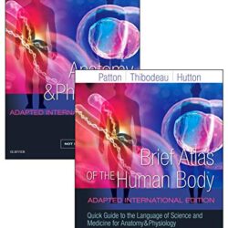 Anatomy and Physiology Adapted International 9th Edition