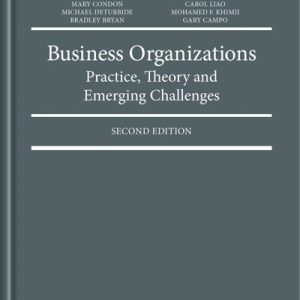 Business Organizations : Practice, Theory and Emerging Challenges 2nd Edition