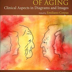 Endocrinology of Aging : Clinical Aspects in Diagrams and Images 1st Edition