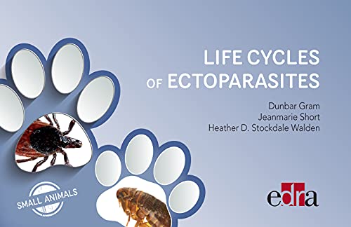 Жизненные циклы эктопаразитов мелких животных