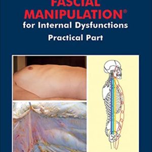 Fascial Manipulation for Internal Dysfunctions – Practical part Board book – January 1, 2016