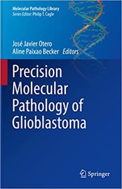 Precision Molecular Pathology of Glioblastoma (Molecular Pathology Library