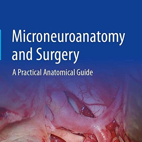Microneuroanatomy and Surgery: A Practical Anatomical Guide 1st ed. 2022 Edition