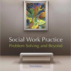 Social Work Practice: Problem Solving and Beyond 3rd Edition