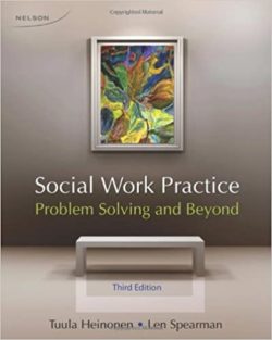 Social Work Practice: Problem Solving and Beyond 3rd Edition