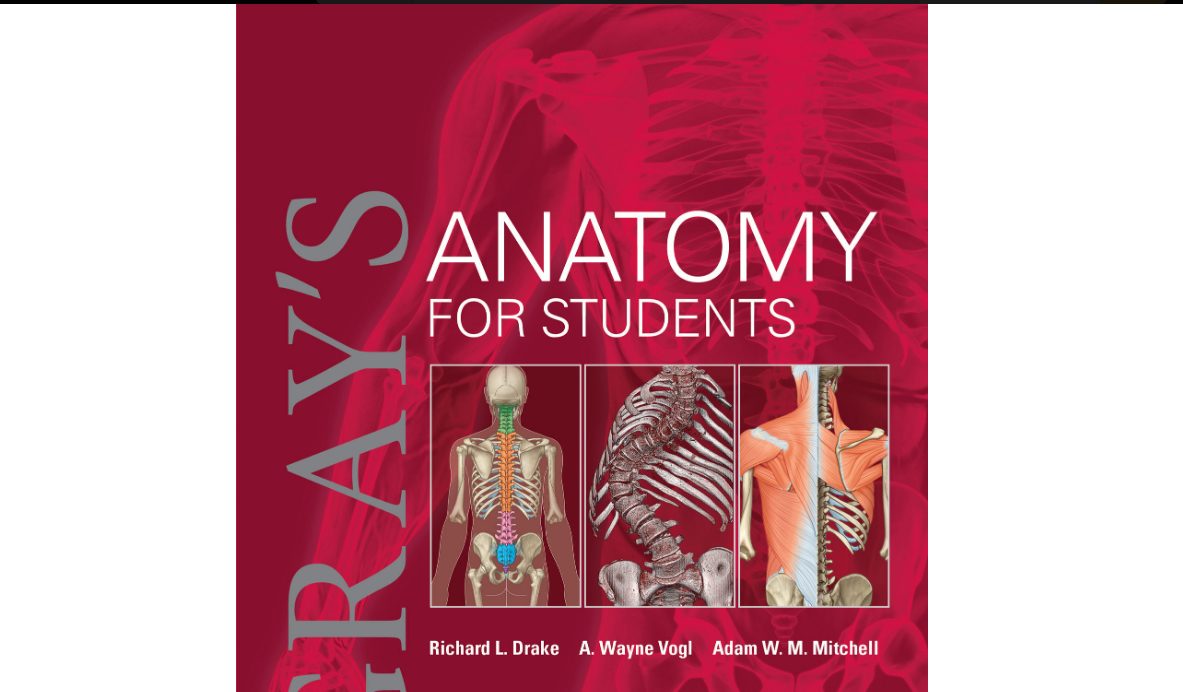 Gray’s Anatomy for Students Fifth Edition