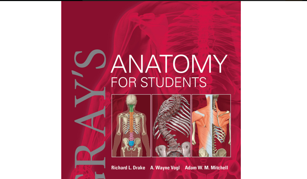 PDF Sample Gray’s Anatomy for Students Fifth Edition