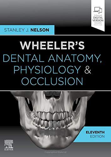 Anatomie dentaire, physiologie et occlusion de Wheeler, 11e édition