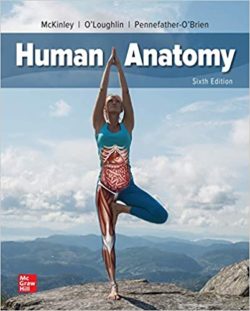 Human Anatomy Sixth Edition