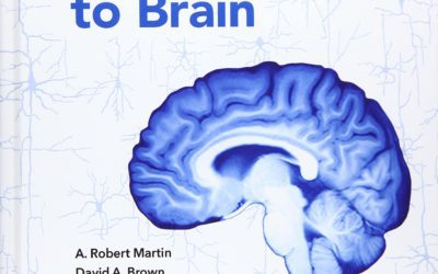 From Neuron to Brain 6th Edition Sixth ed 6e