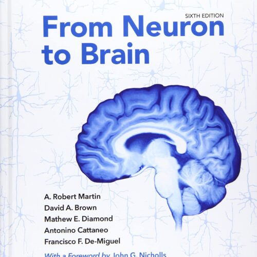 From Neuron to Brain 6th Edition Sixth ed 6e