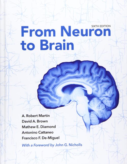 From Neuron to Brain 6th Edition Sixth ed 6e
