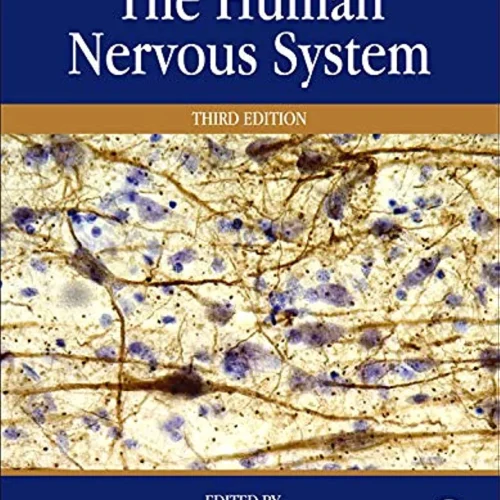 The Human Nervous System 3rd Edition