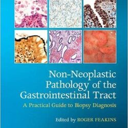Non-Neoplastic Pathology of the Gastrointestinal Tract : A Practical Guide to Biopsy Diagnosis 1st Edition