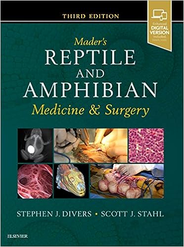 Mader’s Reptile and Amphibian Medicine and Surgery 3rd Edition