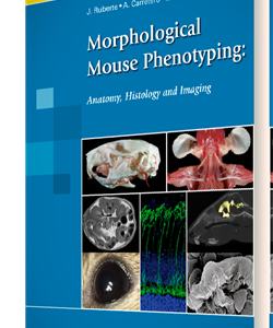 Morphological Mouse Phenotyping: Anatomy, Histology and Imaging – PDF
