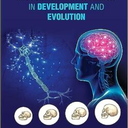 Neocortical Neurogenesis in Development and Evolution, 1st Edition - E-Book - Original PDF.