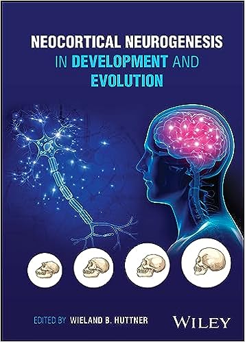 Neocortical Neurogenesis in Development and Evolution, 1st Edition