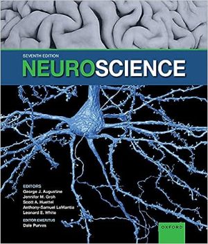 Neuroscience 7th Edition Seventh ed