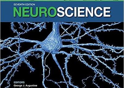 Neuroscience 7th Edition Seventh ed