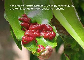 Plant Pathology and Plant Diseases – Original PDF