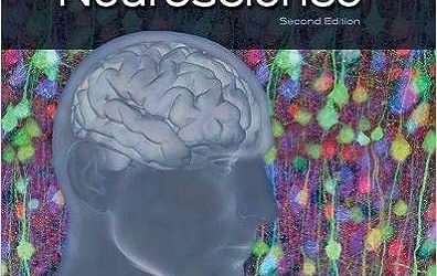 Principles of Cognitive Neuroscience 2nd Edition