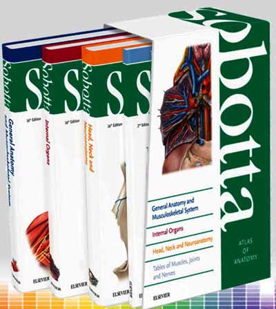Sobotta Atlas of Anatomy, English/Latin, 16th Edition, 4 Volume Set Sixteenth ed