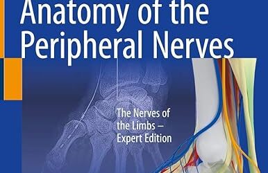 Atlas of Anatomy of the peripheral nerves The Nerves of the Limbs – Expert Edition 1st ed. 2020 Edition