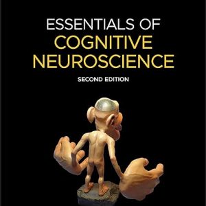 Essentials of Cognitive Neuroscience 2nd Edition