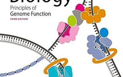 Molecular Biology Principles of Genome Function 3rd Edition