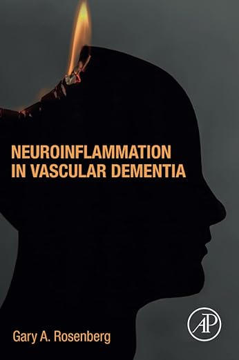 Neuroinflammation in Vascular Dementia 1st Edition
