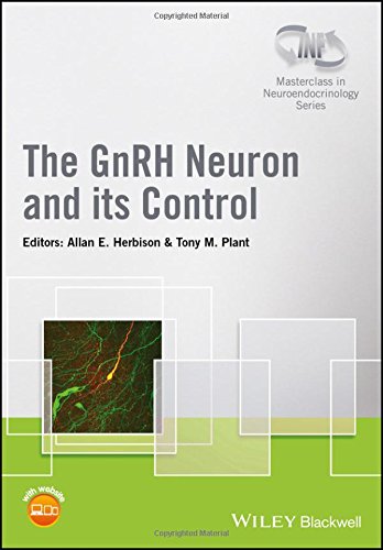 Het GnRH-neuron en zijn controle (Wiley-INF Masterclass in Neuroendocrinology Series)