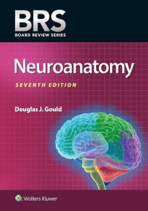BRS Neuroanatomy (Board Review Series) Seventh Edition