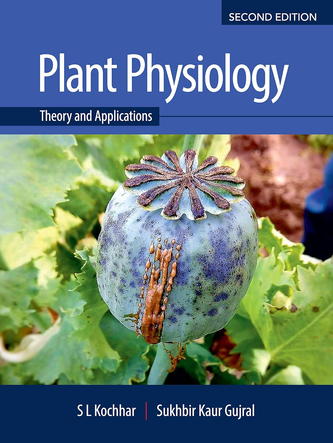 Plant Physiology Theory and Applications 2nd Edition