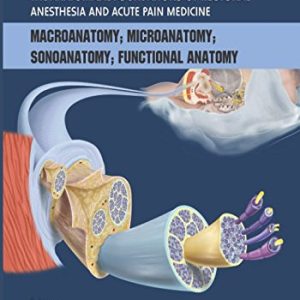 The Anatomical Foundations of Regional Anesthesia and Acute Pain