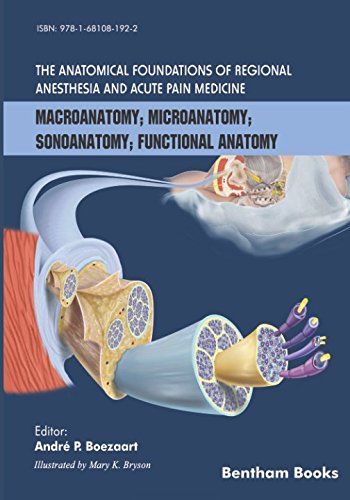 Анатомические основы регионарной анестезии и острой боли