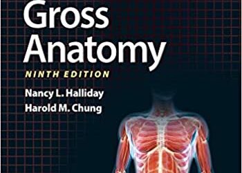 BRS Gross Anatomy (Board Review Series Ninth ed/9e) 9th Edition