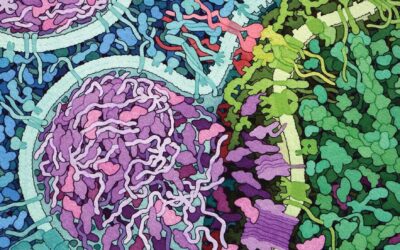 The Cell A Molecular Approach 9th Edition