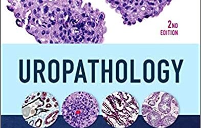 Uropathology (2nd ed/2e) Second Edition, by Ming Zhou MD PhD, George Netto MD & Jonathan I Epstein (Authors)