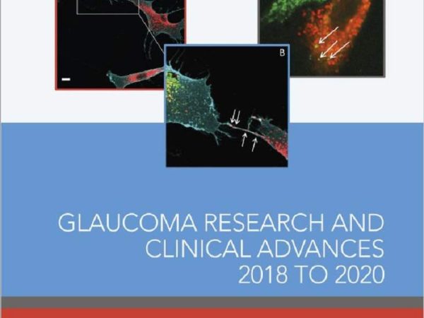 Glaucoma Research and Clinical Advances 2018 to 2020
