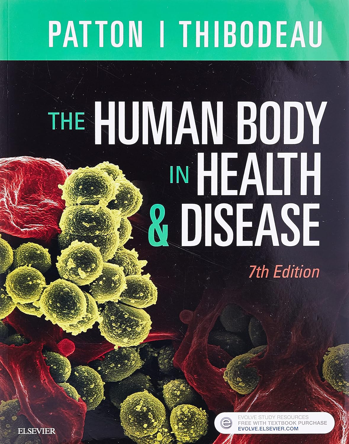 The Human Body in Health & Disease  7th Edition (with Study guide)