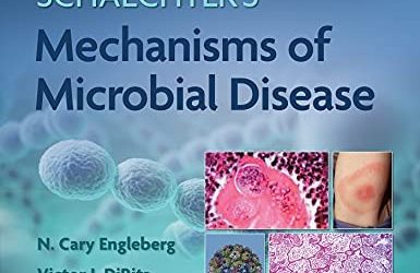 Schaechter’s (Schaechters Sixth ed/6e) Mechanisms of Microbial Disease 6th Edition
