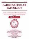 Cardiovascular Pathology 2 issues
