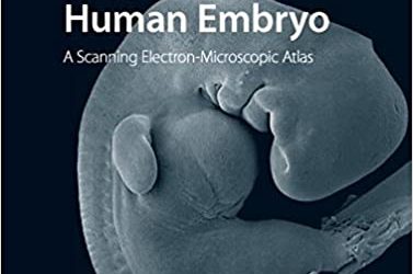 The Anatomy of the Human Embryo A Scanning Electron-Microscopic Atlas First Edition (1st ed/1e)