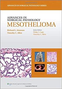 Advances in Surgical Pathology: Mesothelioma 1st Edition