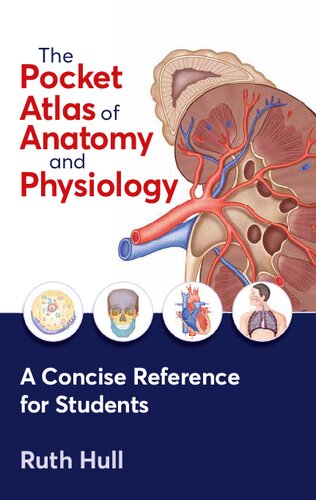 The Pocket Atlas of Anatomy and Physiology First Edition