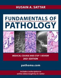 Fundamentals of Pathology Paperback – January 1, 2011