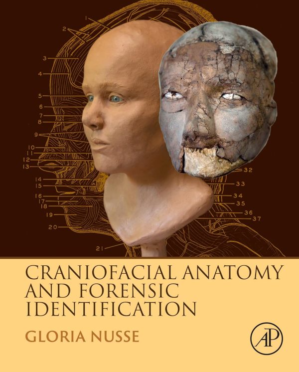 Craniofacial Anatomy and Forensic Identification 1st Edition