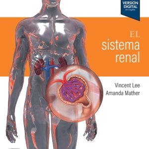 El sistema renal