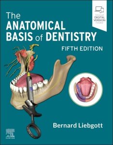 The Anatomical Basis of Dentistry 5th Edition